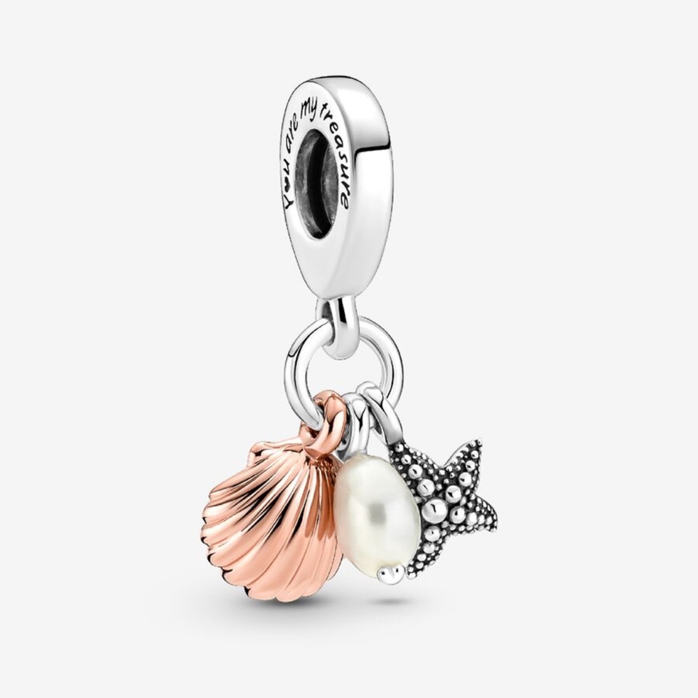 Pandora charm